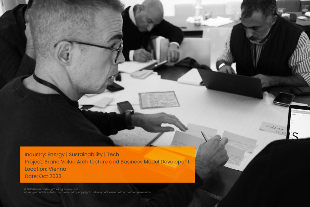 Brand valuation architecture and business model development workshop for an energy, sustainability, and technology company led by BlueBirds Group™ in Vienna