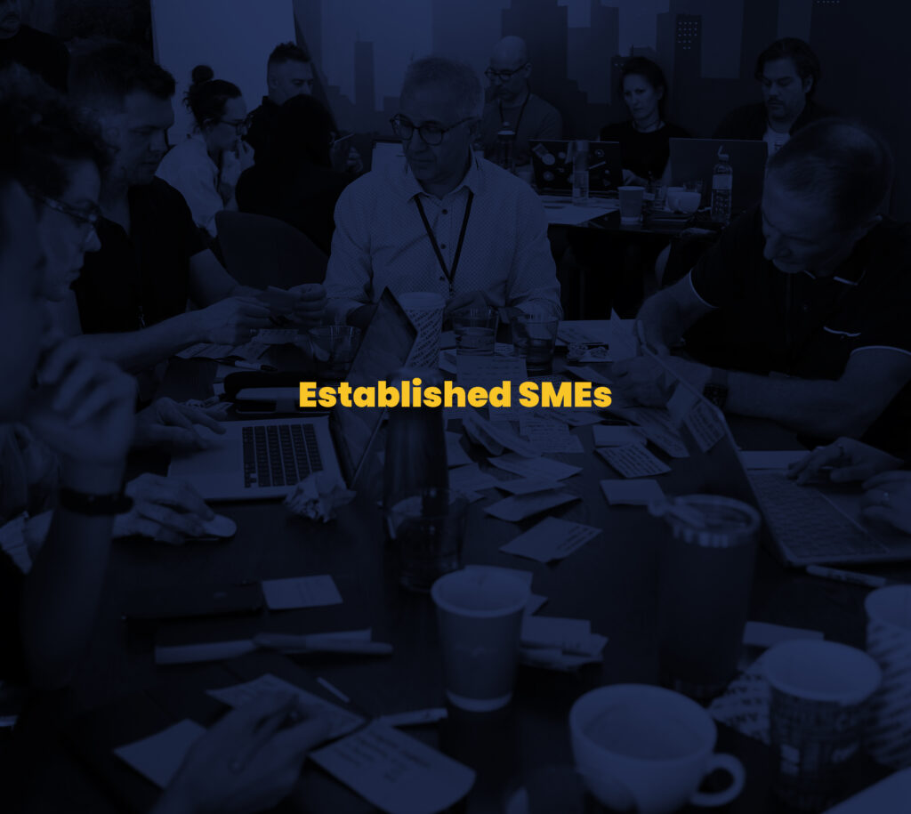 Bluebirds Group Services: Increase Business Valuation, Reduce Failure Rates